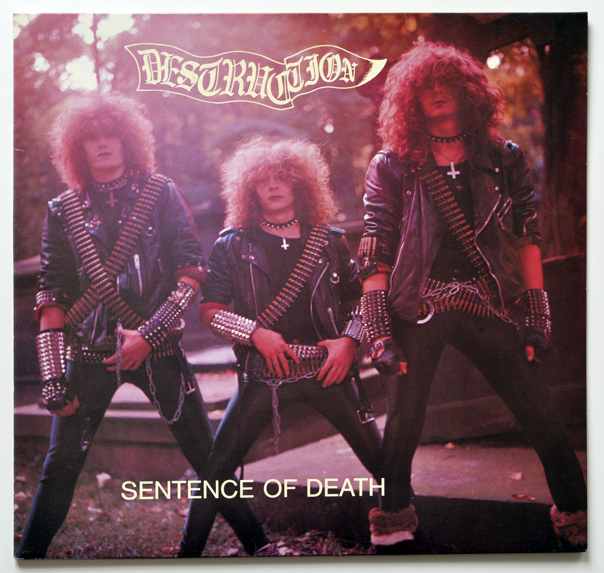 High Resolution Photo #1 DESTRUCTION Sentence of Death BlueWhite 